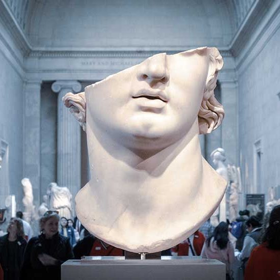 The Human Body Seen Through a Lens